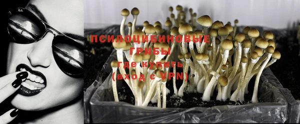 COCAINE Бородино